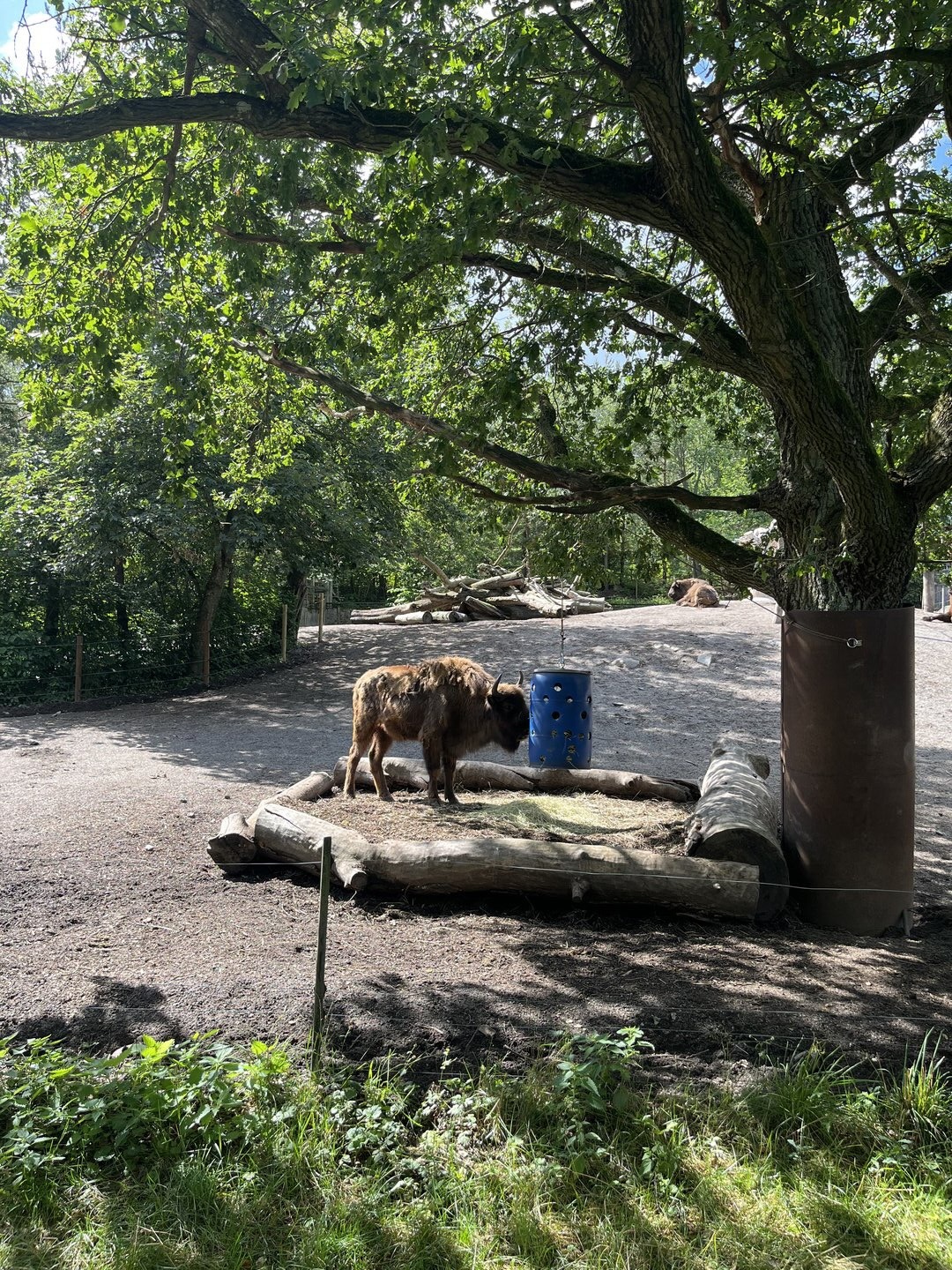 Stockholm park scene